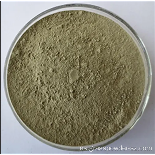 Polvo de plántula de trigo sarraceno de trigo sarraceno concentrado